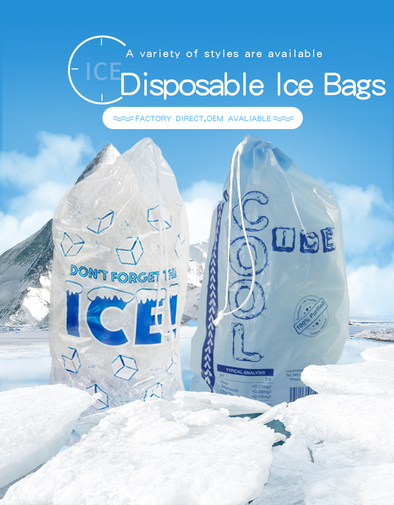ice cube bag