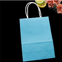 food shopping bag