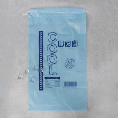 disposable ice cooler bag