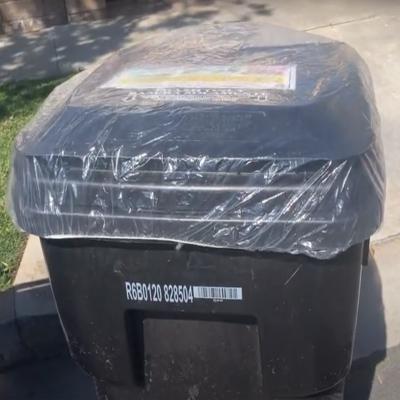 trash can cover