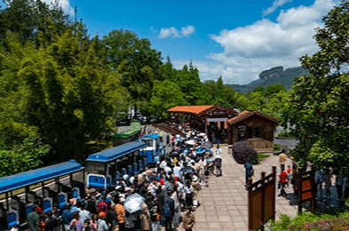 The Necessity of vomit Bag and garbage Bag for Holiday Travel